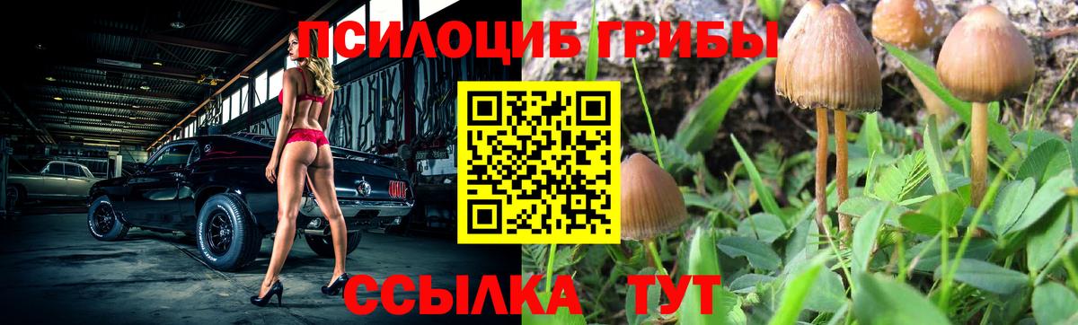Павловский Посад  Псилоцибиновые грибы ЛСД  Галлюциногенные грибы прущие грибы  Вход с VPN 